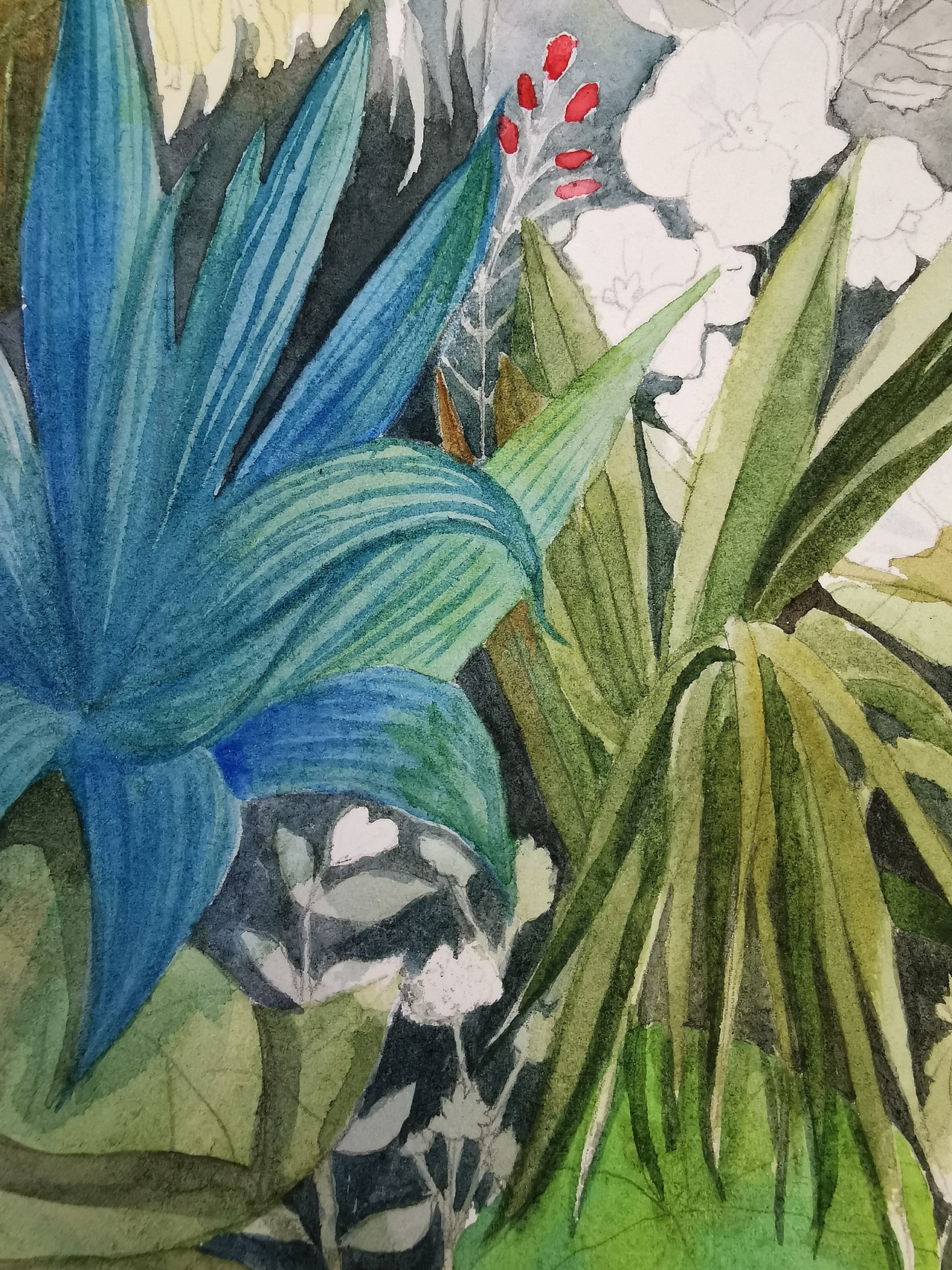 芒刺耳与红果在花园里。