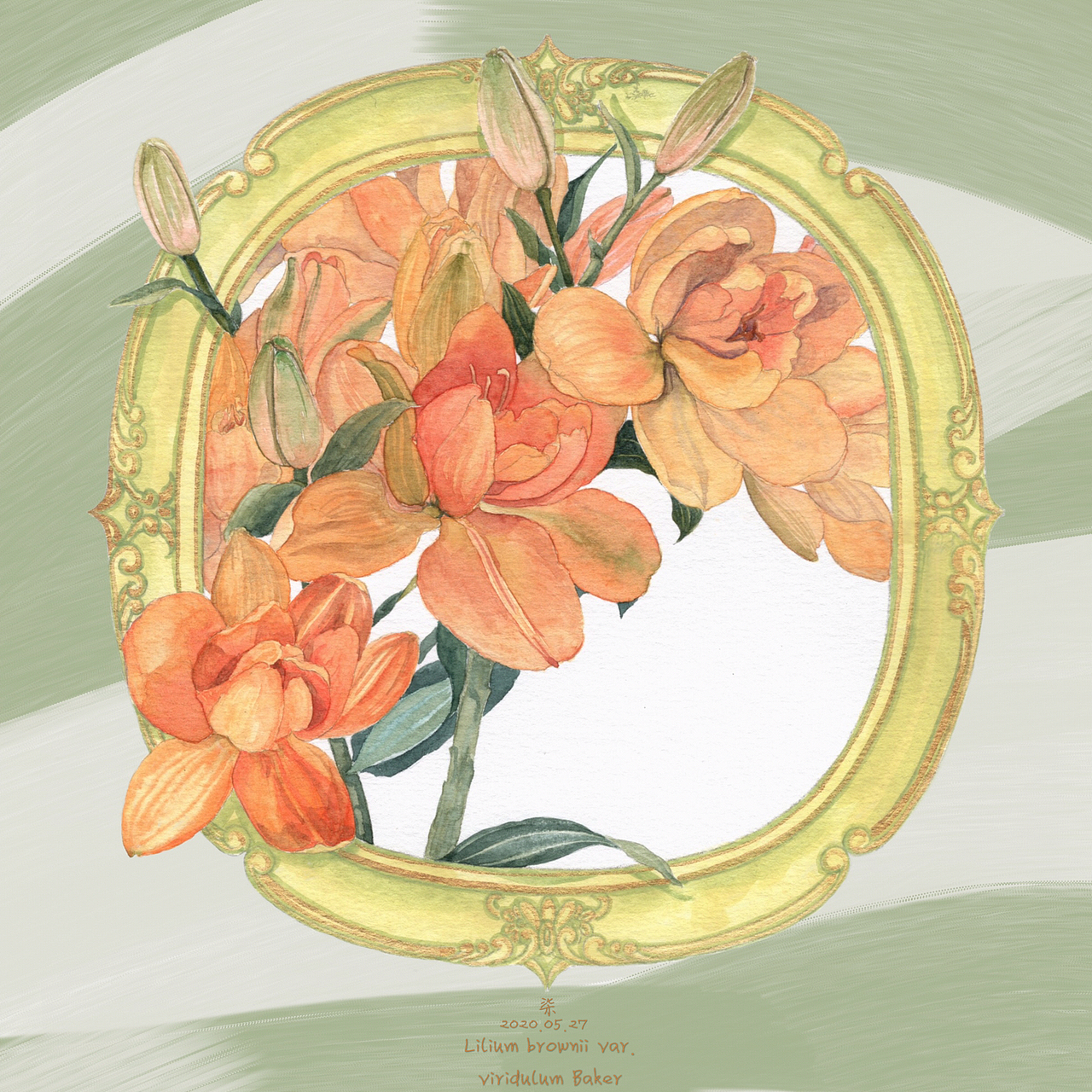 《绽放》，水彩花与果实。（图ZMjA5MDc4NDgw） - 绘画 - 站酷设计师燕柒7原创素材 - 站酷ZCOOL