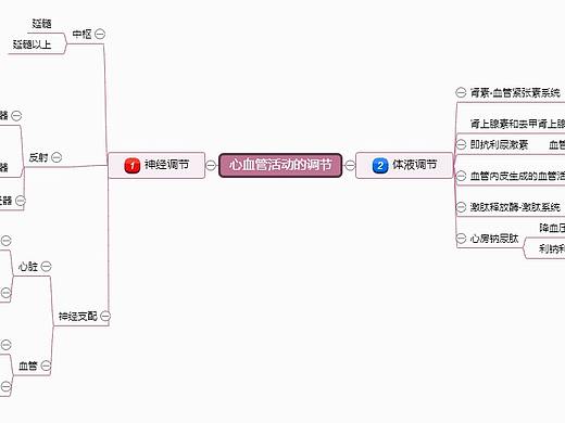 心血管活动调节思维导图--迅捷画图