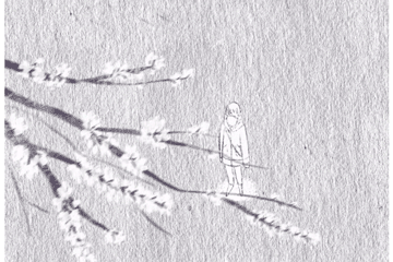 自学AE7天能做出什么样的动画