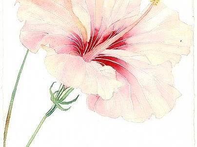 banner（个人主页-ZMjc1OTU3OTY=） - 运营设计 - 站酷设计师维维king原创素材 - 站酷ZCOOL