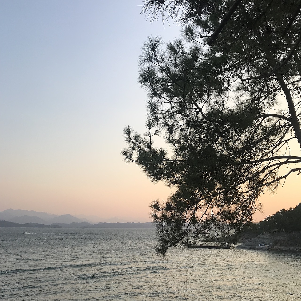 手机摄影小记（图ZMTQzODg5NTgw） - 人文/纪实摄影 - 站酷设计师荼蘼y原创素材 - 站酷ZCOOL