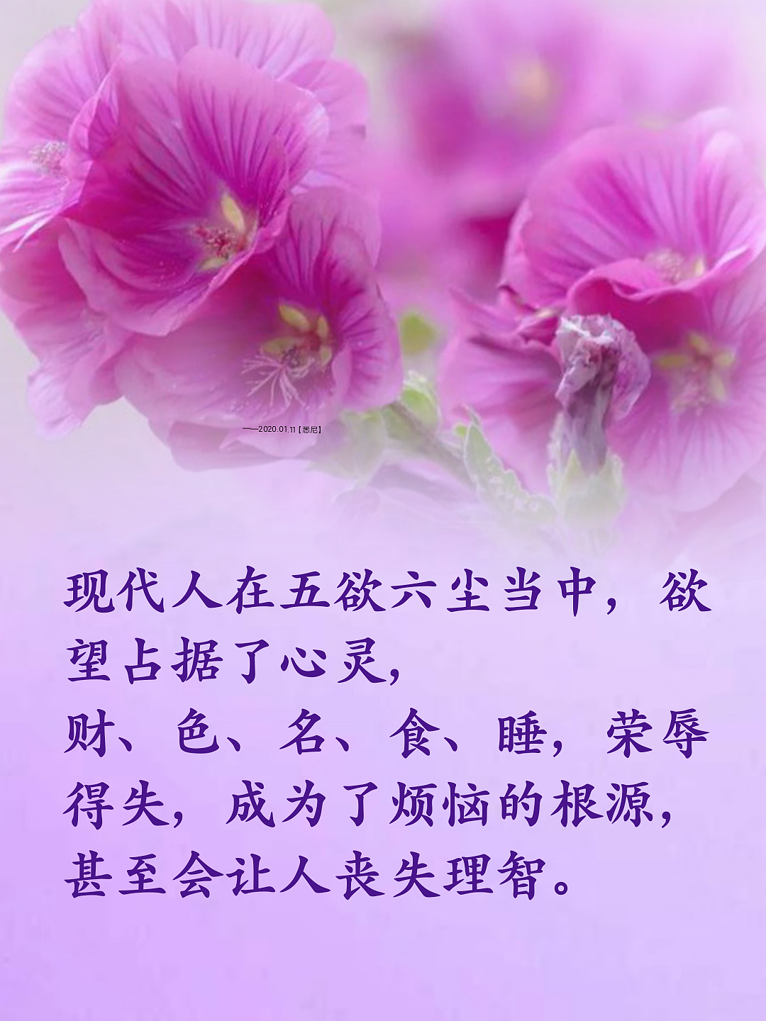 🌸💮🌺（图ZMjg4MTI2Mjc2） - 人文/纪实摄影 - 站酷设计师清清凉凉原创素材 - 站酷ZCOOL