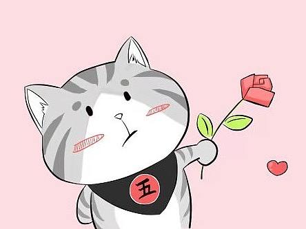 你以为你猫是这样亲热的，然而...