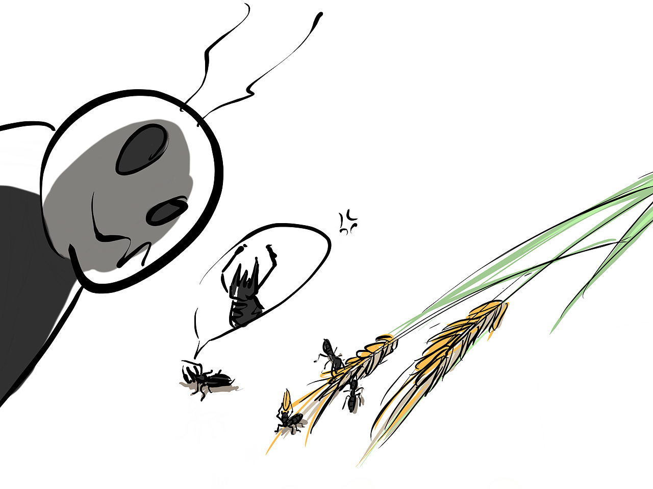 夏日狂奏曲(上)