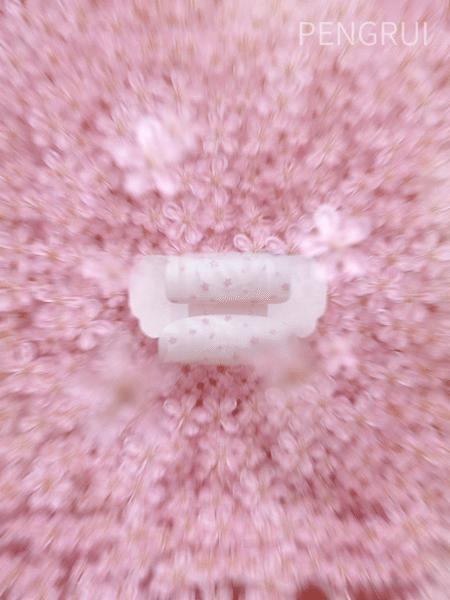 INTERPRETER×洁婷卫生巾透气轻薄樱花装创意视觉动画