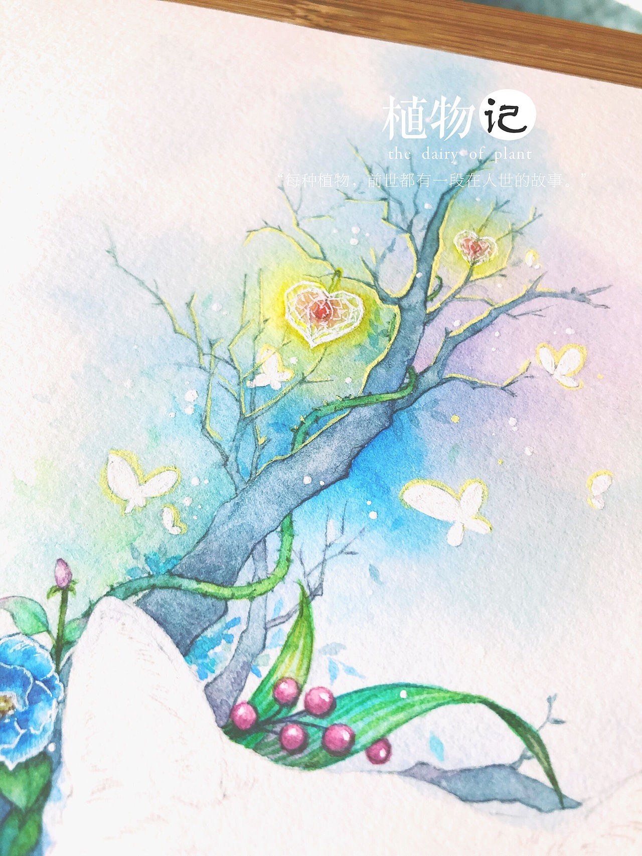 手绘猫咪——英短蓝白