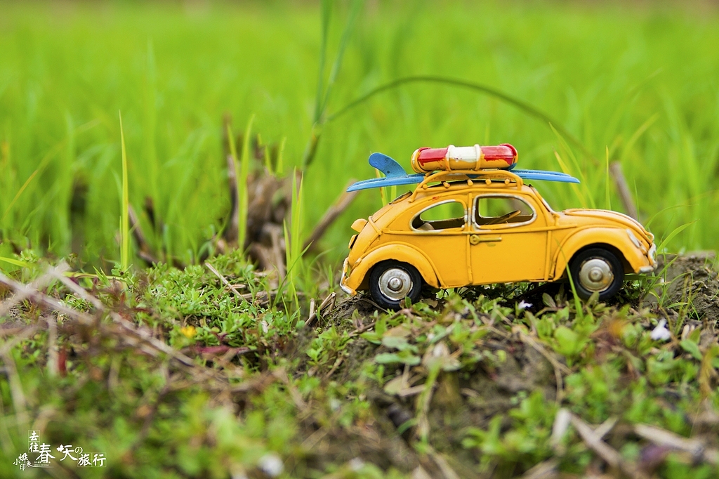 去往春天的旅行