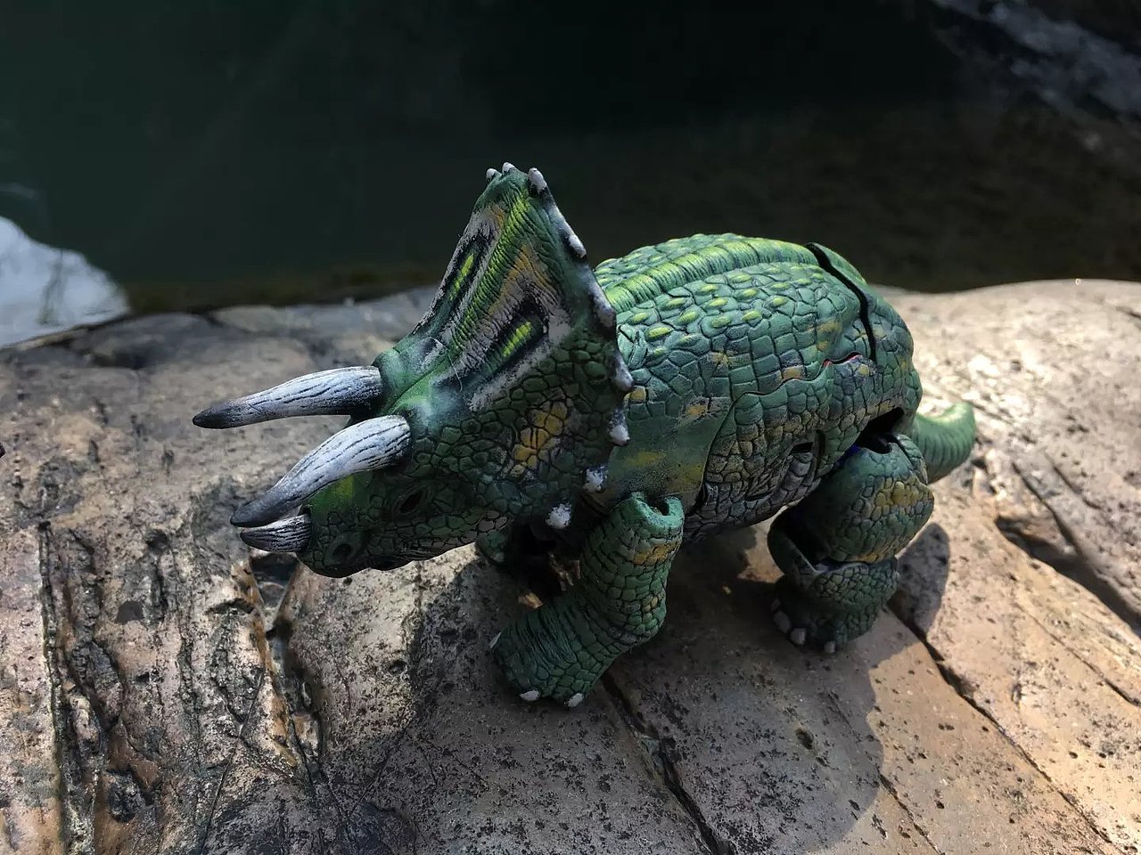 很漂亮的龙冠涂装