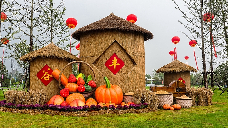 在家里干活的时候,是否是你梦想中样子呢,https://www.starpool.cn