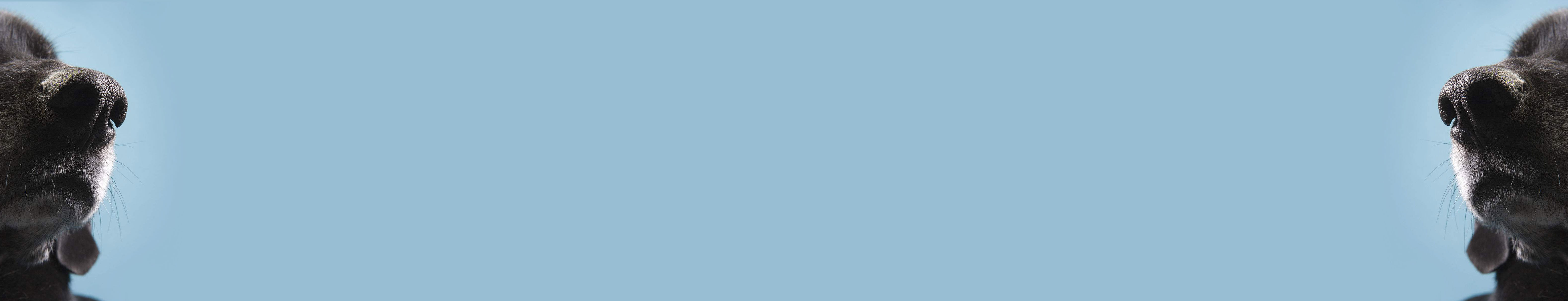 洋洋張的個人主頁（封面預(yù)覽） - 主頁封面設(shè)置 - 站酷設(shè)計師洋洋張原創(chuàng)素材 - 站酷ZCOOL