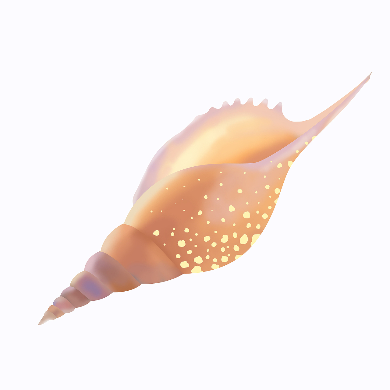 插画练习,人物动物植物