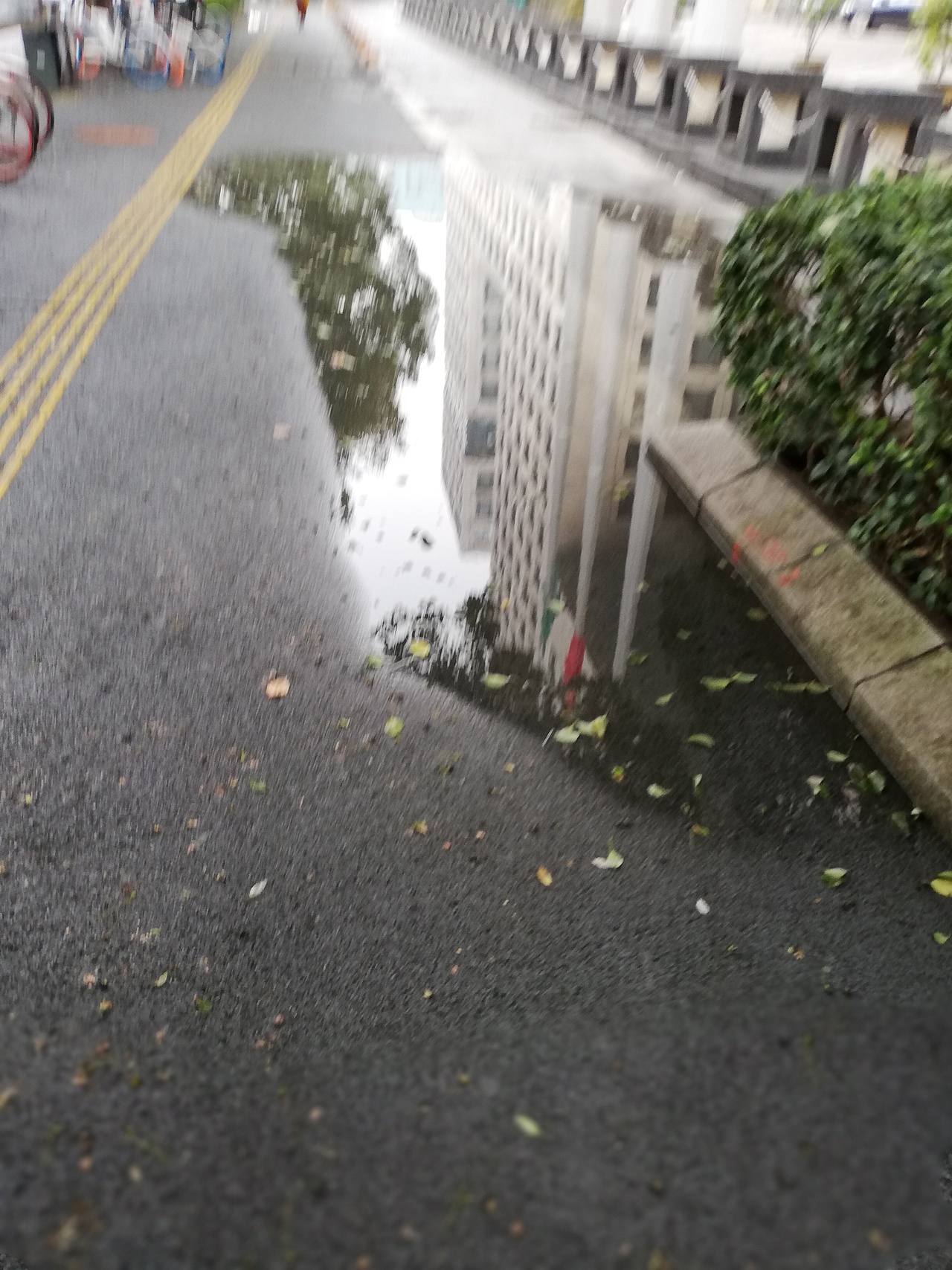 又逢雨