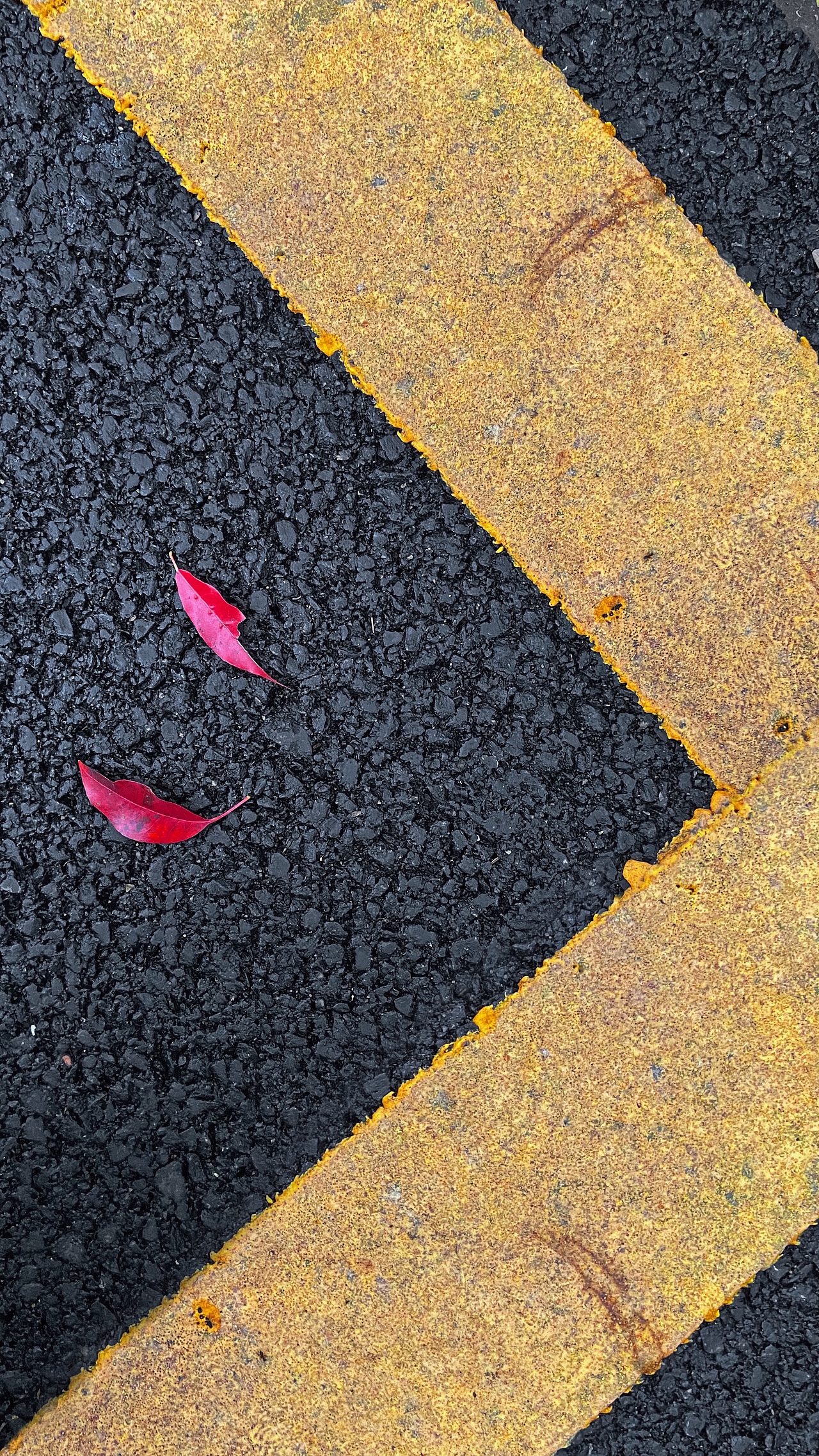 “呐呐,我想你了”