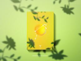 十二星座本册设计