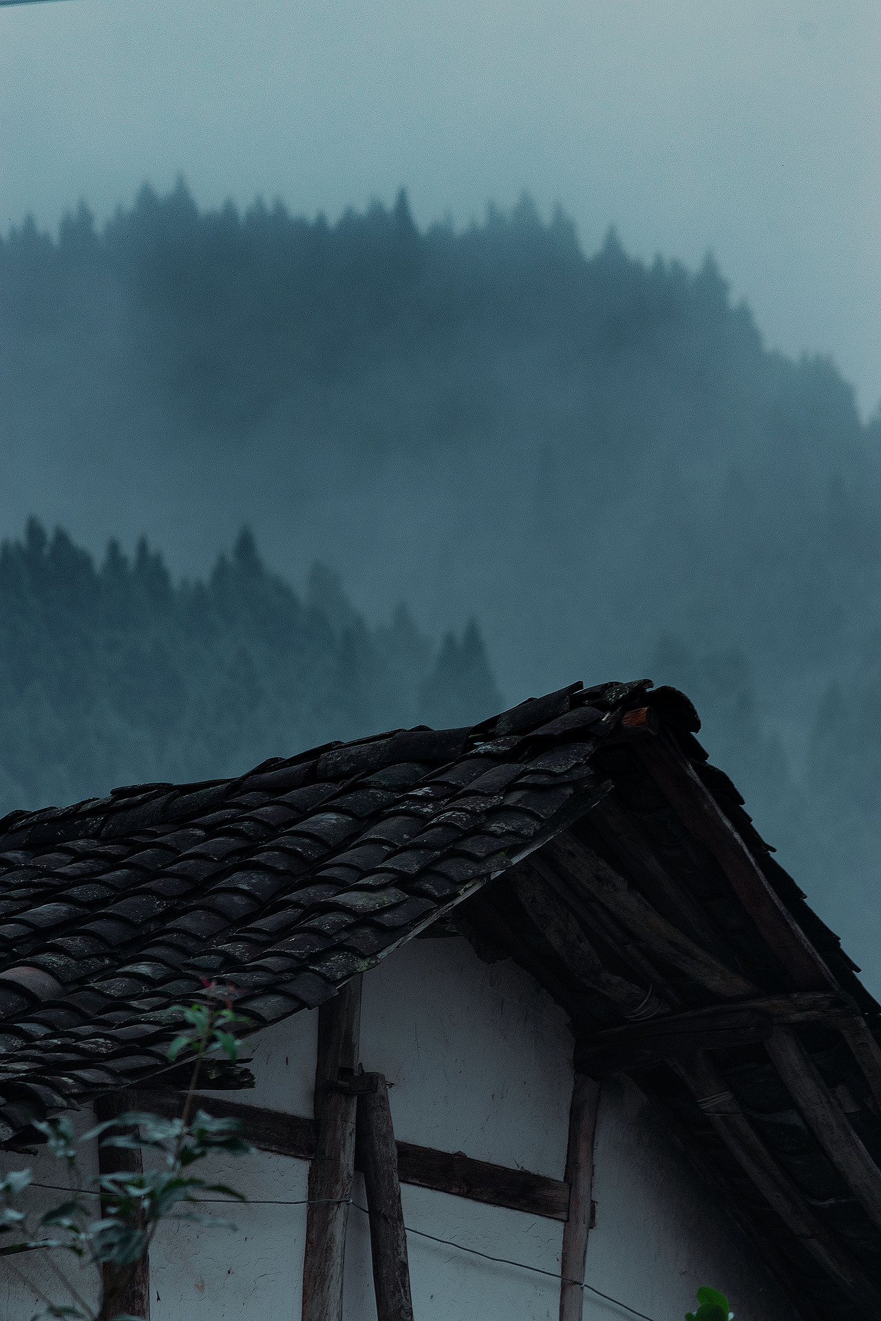 天青色等烟雨,我在山里等你