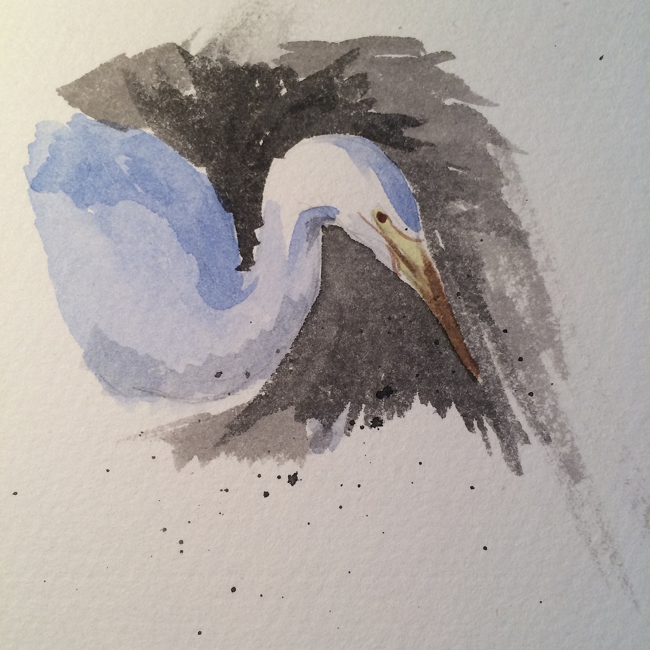 最近画的一些水彩