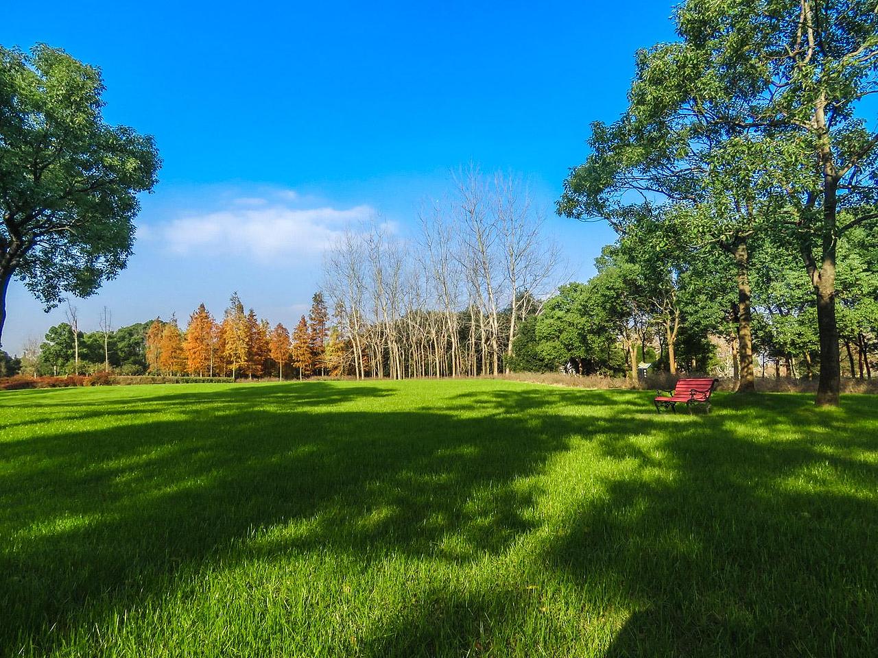 ps后期修图:一招秒抠树林的方法