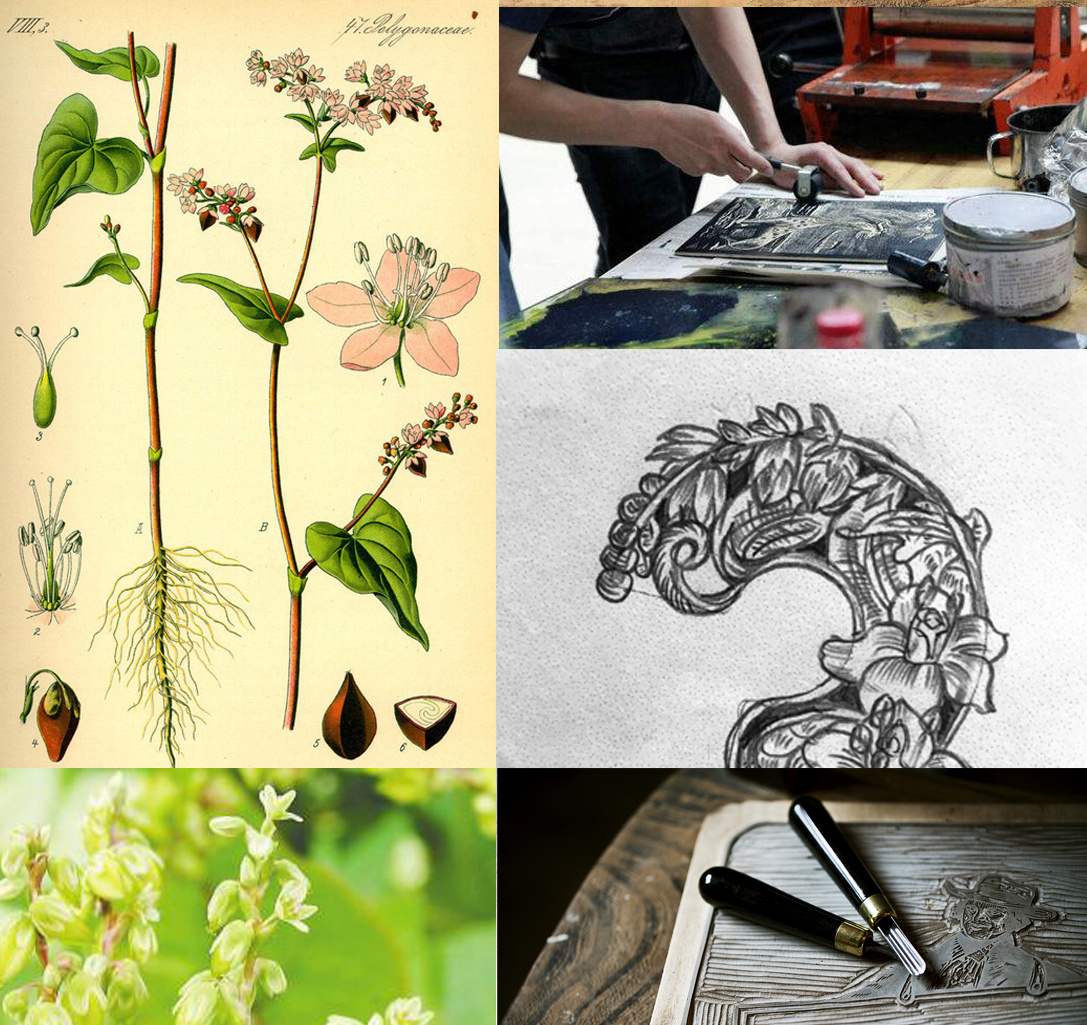 三匠苦荞茶包装插画