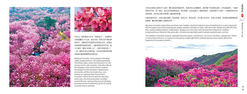 为青岛胶南旅游局做的宣传画册（图ZNzI4MTYyODg=） - 书籍/画册 - 站酷设计师MrWeii原创素材 - 站酷ZCOOL