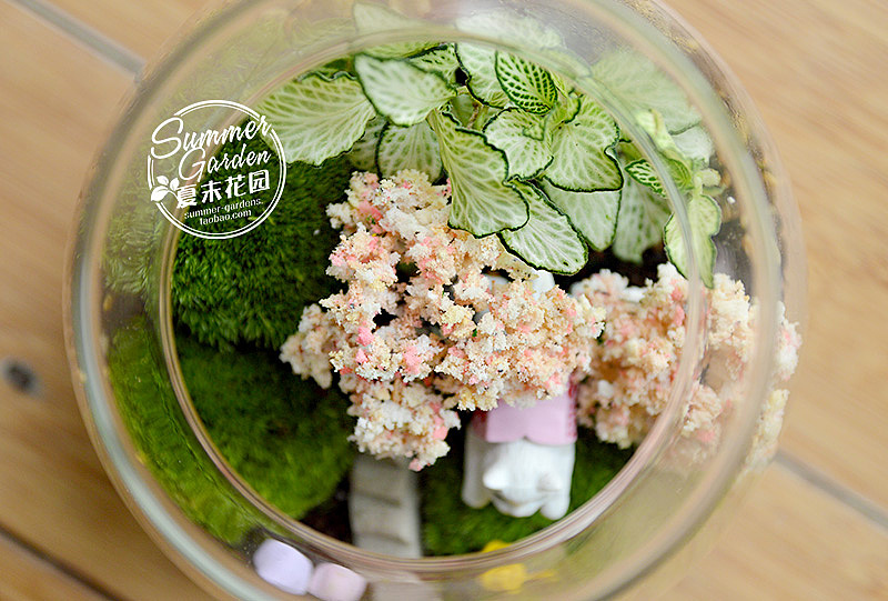 绿植手作之萌宠喵咪--《夏末花园成长日记10》（图ZMTc4OTc3MTY=） - 其他手工艺 - 站酷设计师zxsummer原创素材 - 站酷ZCOOL