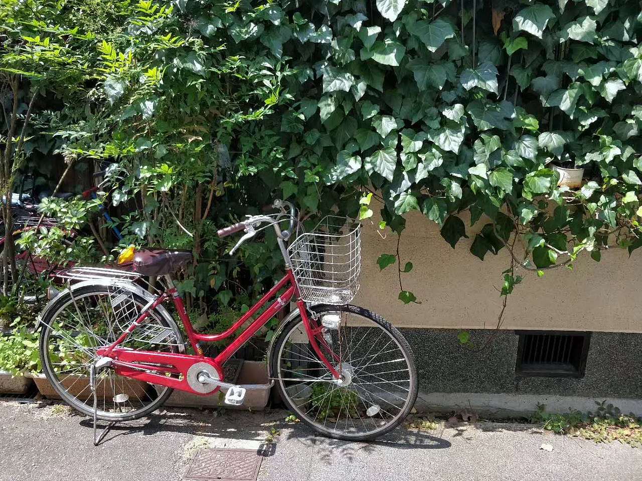 18年旅行游记（图ZMTI4Nzc4MzI4） - 风光摄影 - 站酷设计师疯狂的鱼子原创素材 - 站酷ZCOOL