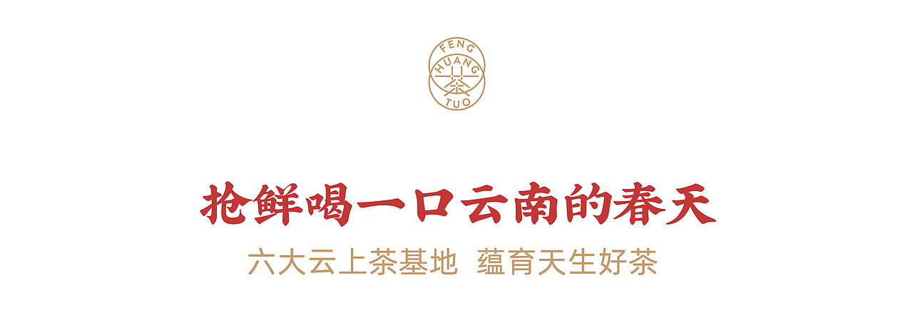 鑫凤凰凤凰沱茶品牌升级&伴手礼包装设计（图ZMTcwNjAyNDcy） - 品牌 - 站酷设计师無非Brand原创素材 - 站酷ZCOOL