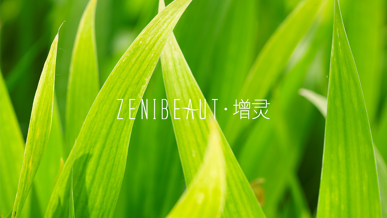 《增灵》化妆品店铺 标志提案 第一稿（图ZNDU0ODI1MzI=） - 品牌 - 站酷设计师Greenly的大西瓜原创素材 - 站酷ZCOOL