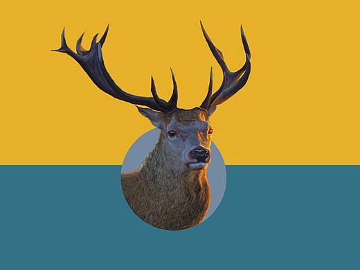 板繪小作--霞光下的鹿（個(gè)人主頁(yè)-ZMjgzODA0NTY=） - 創(chuàng)作習(xí)作 - 站酷設(shè)計(jì)師志杰97原創(chuàng)素材 - 站酷ZCOOL