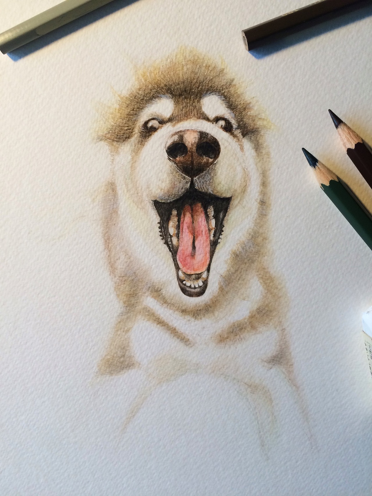 给屎丢笔画张画~