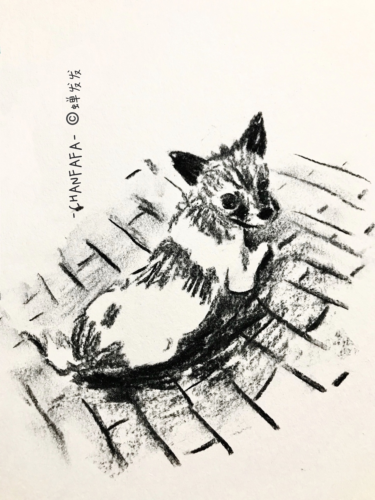 日常涂 流浪狗|插画|艺术插画|蝉发发发 - 原创作品 - 站酷 (zcool)