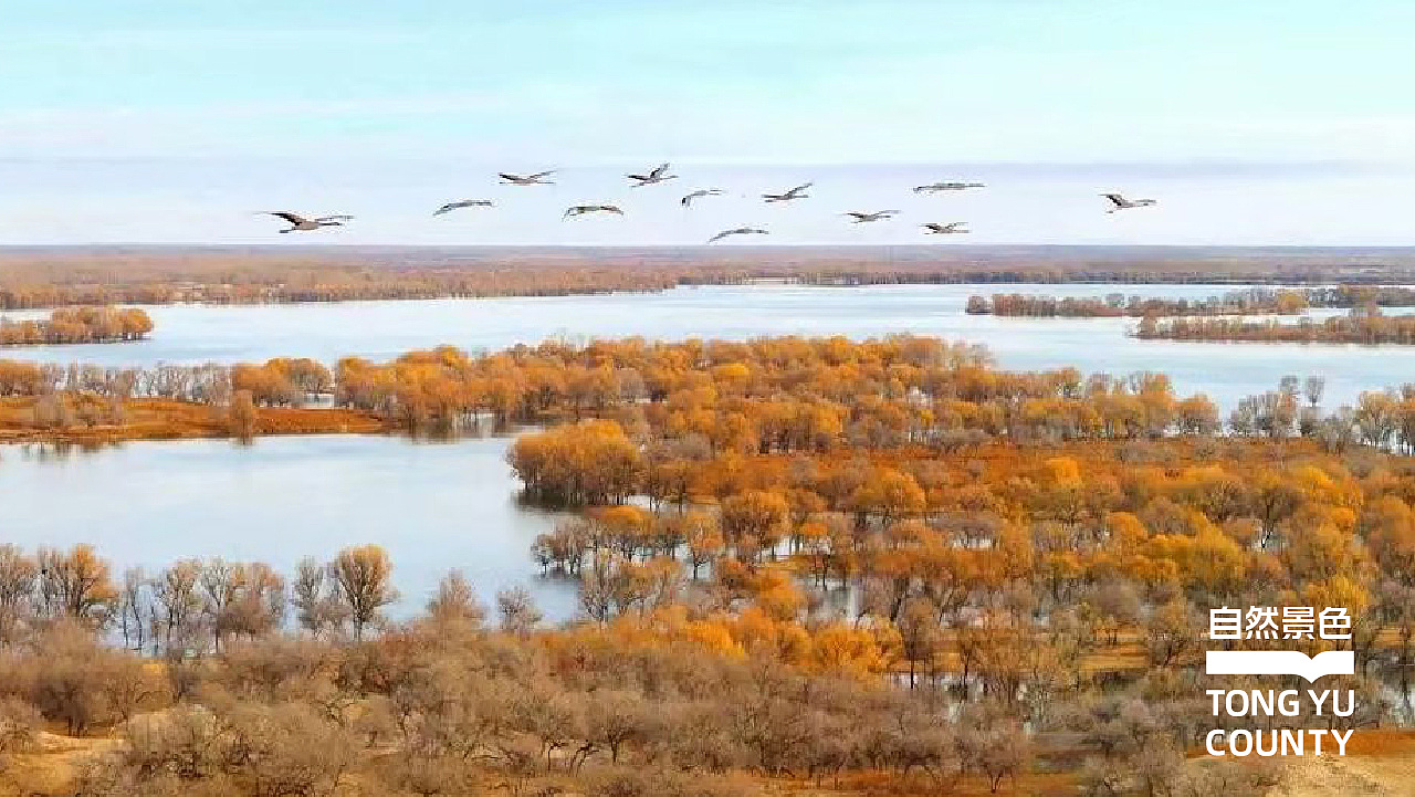 通榆县标志设计
