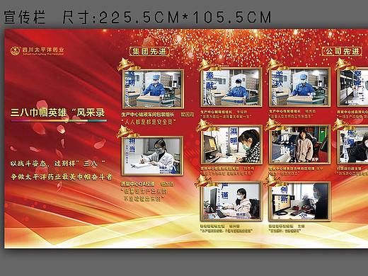 四川太平洋药业有限公司项目