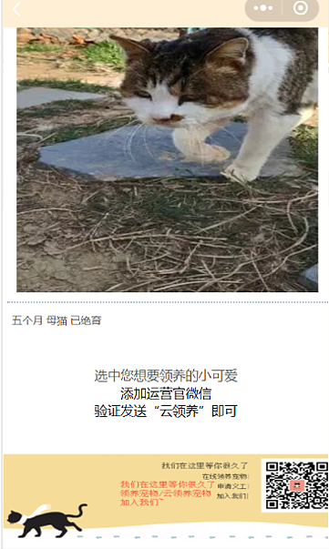 微信小程序（图ZMTUwMzI5MjIw） - 其他UI - 站酷设计师UI设计师浪人原创素材 - 站酷ZCOOL