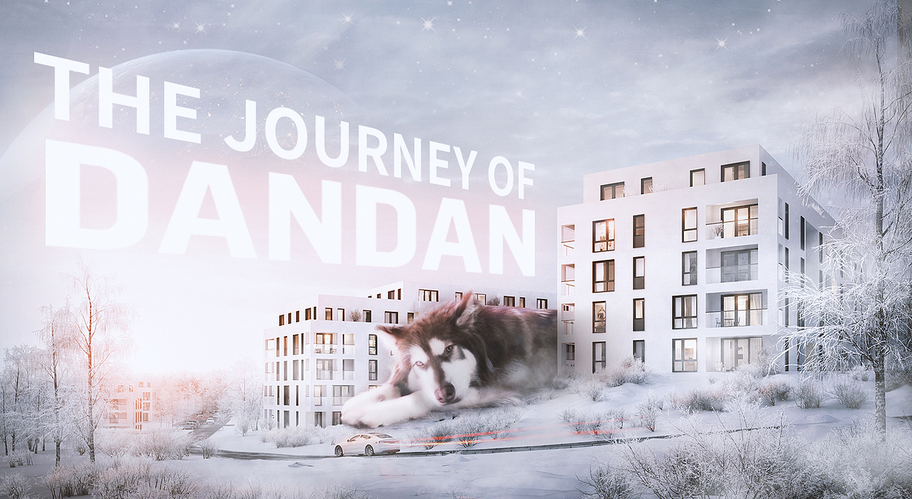 自家狗狗PS创意合成练习