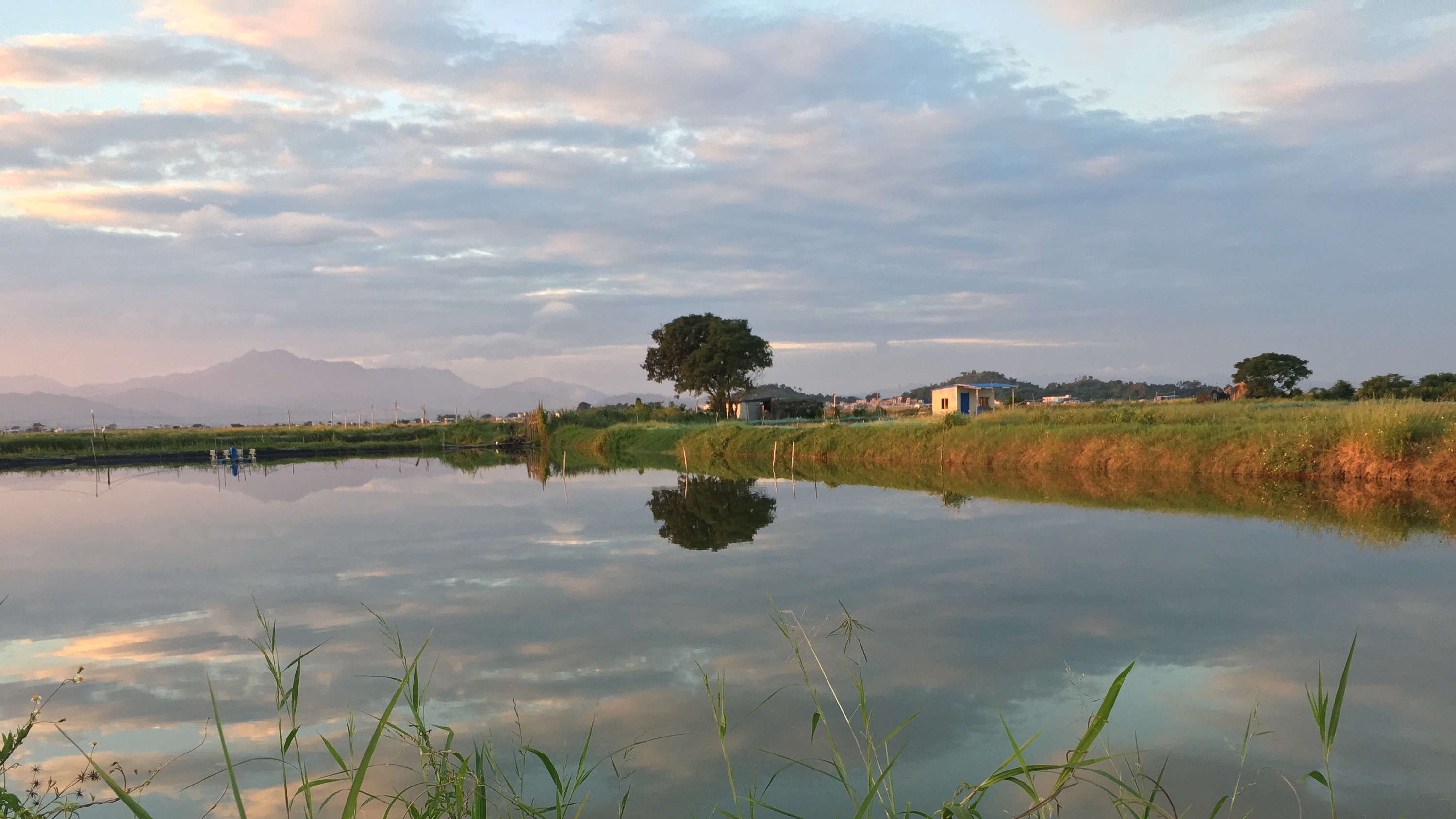 黄昏的家乡鱼塘