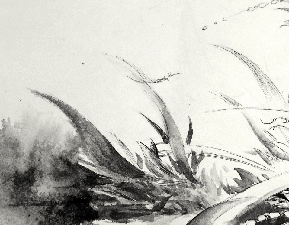 将一些羽毛用墨晕染出来