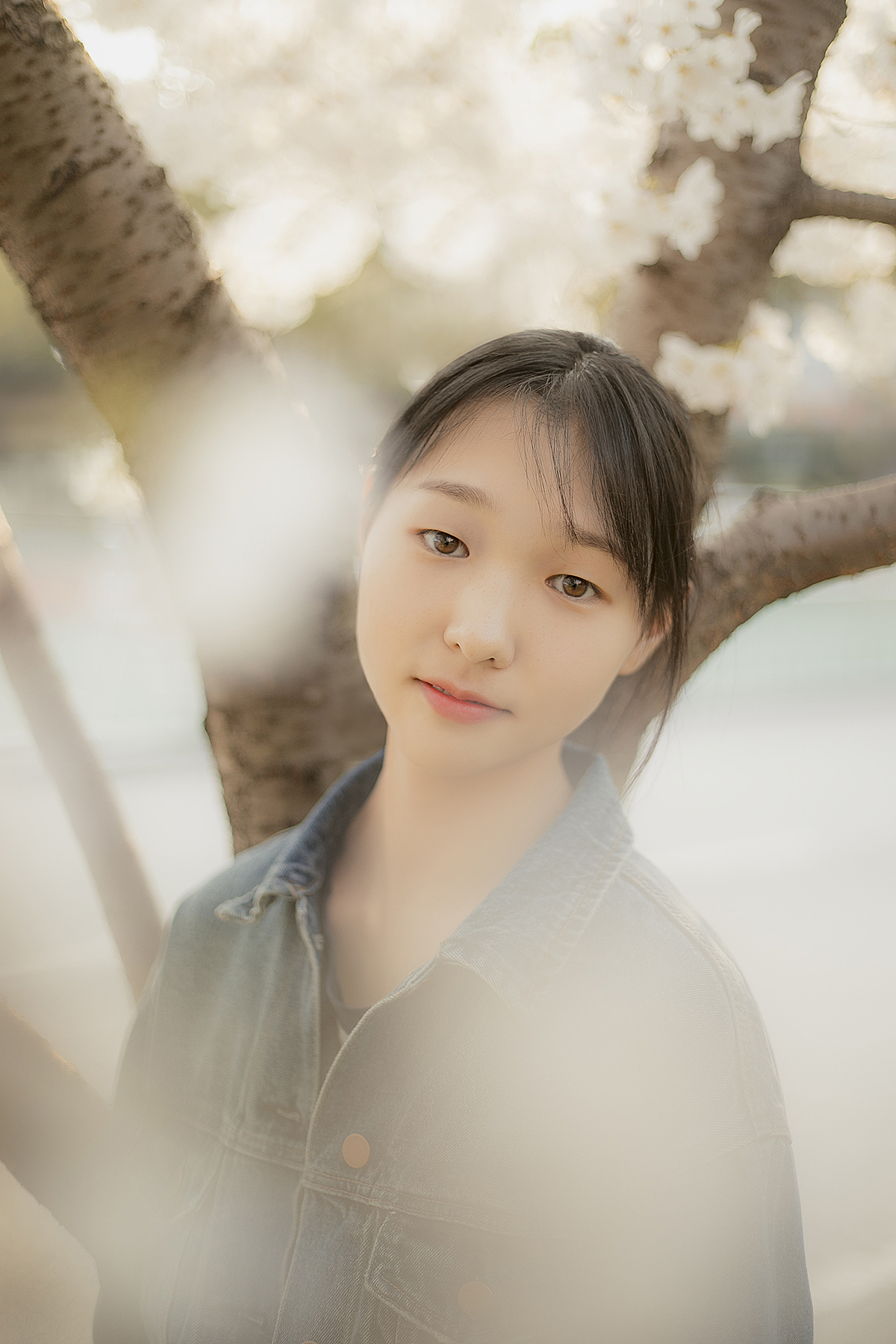 樱花（图ZMTU2ODQwODMy） - 人像摄影 - 站酷设计师杰瑞不开车原创素材 - 站酷ZCOOL