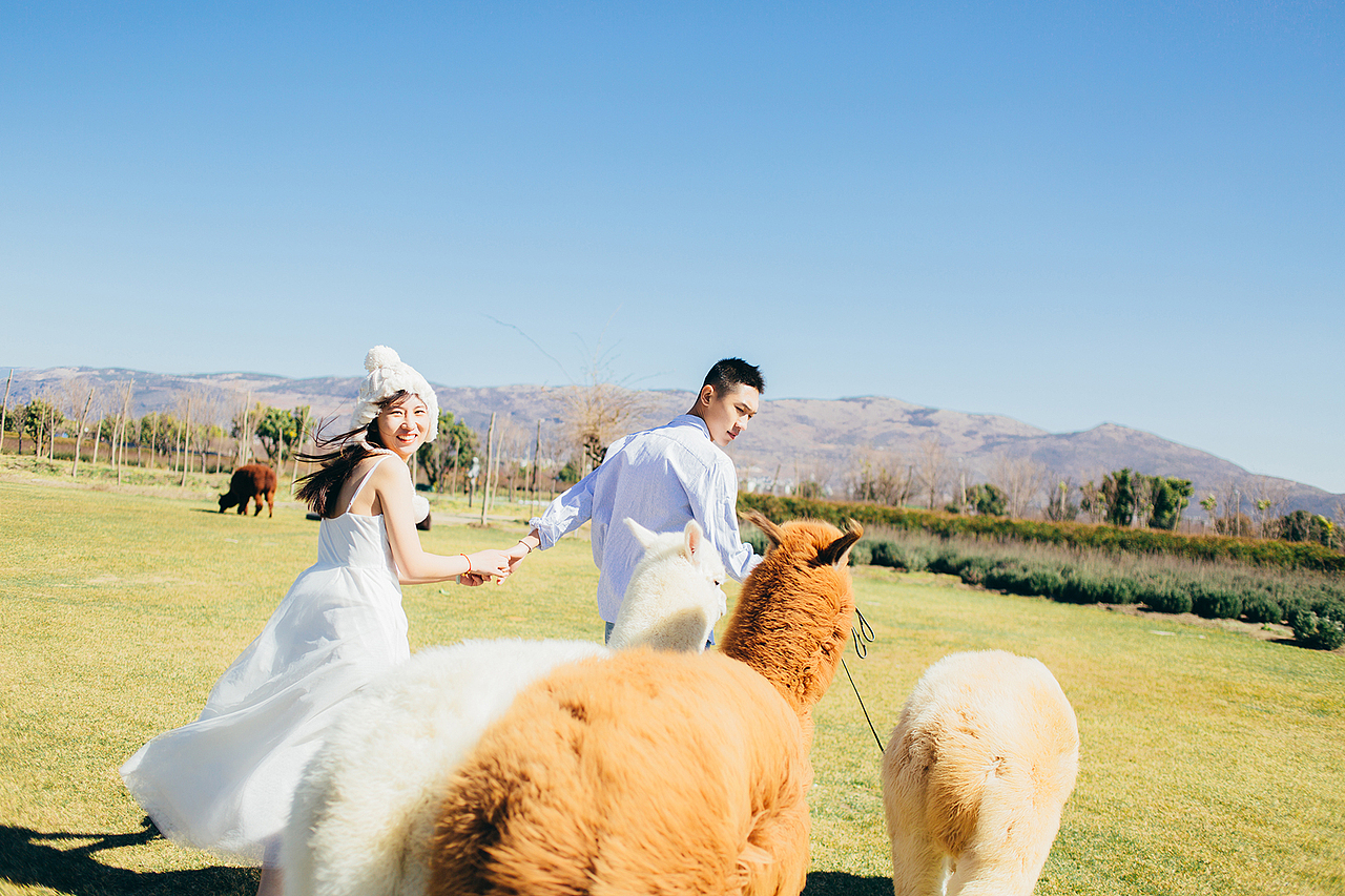 大理婚纱照（图ZMTk0MjQ1MjQ0） - 人像摄影 - 站酷设计师花屿集原创素材 - 站酷ZCOOL