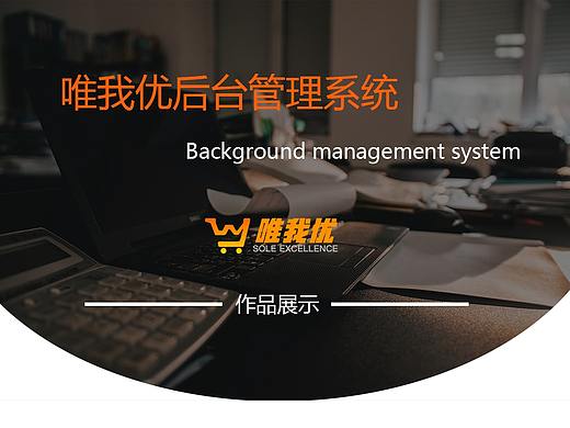 BS后台管理软件
