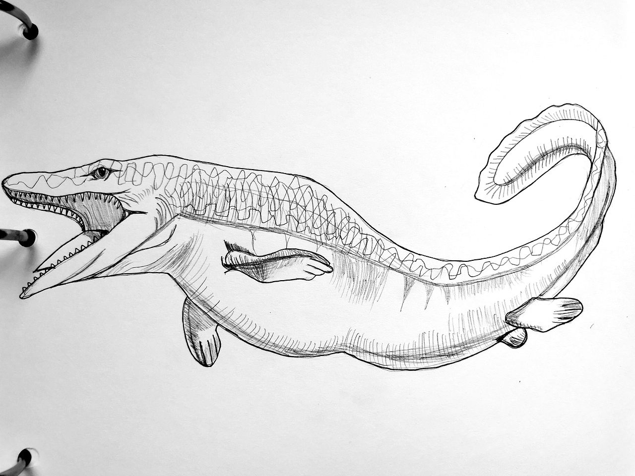 恐龙图鉴|插画|艺术插画|饭饭饭饭饭饭饭_临摹作品-站酷zcool