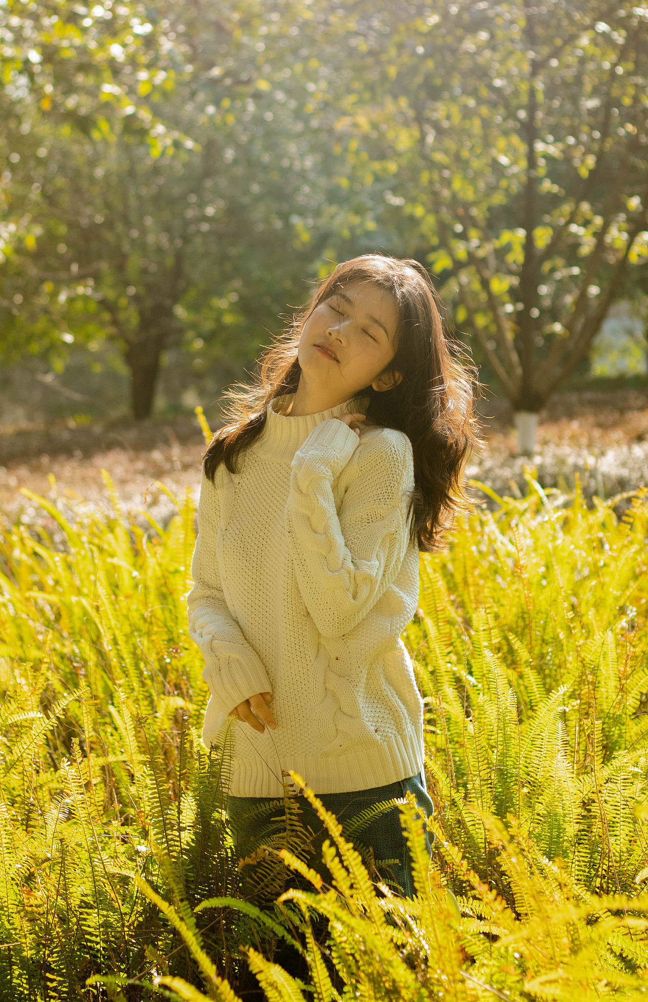 我在名为秋天的路上遇见你