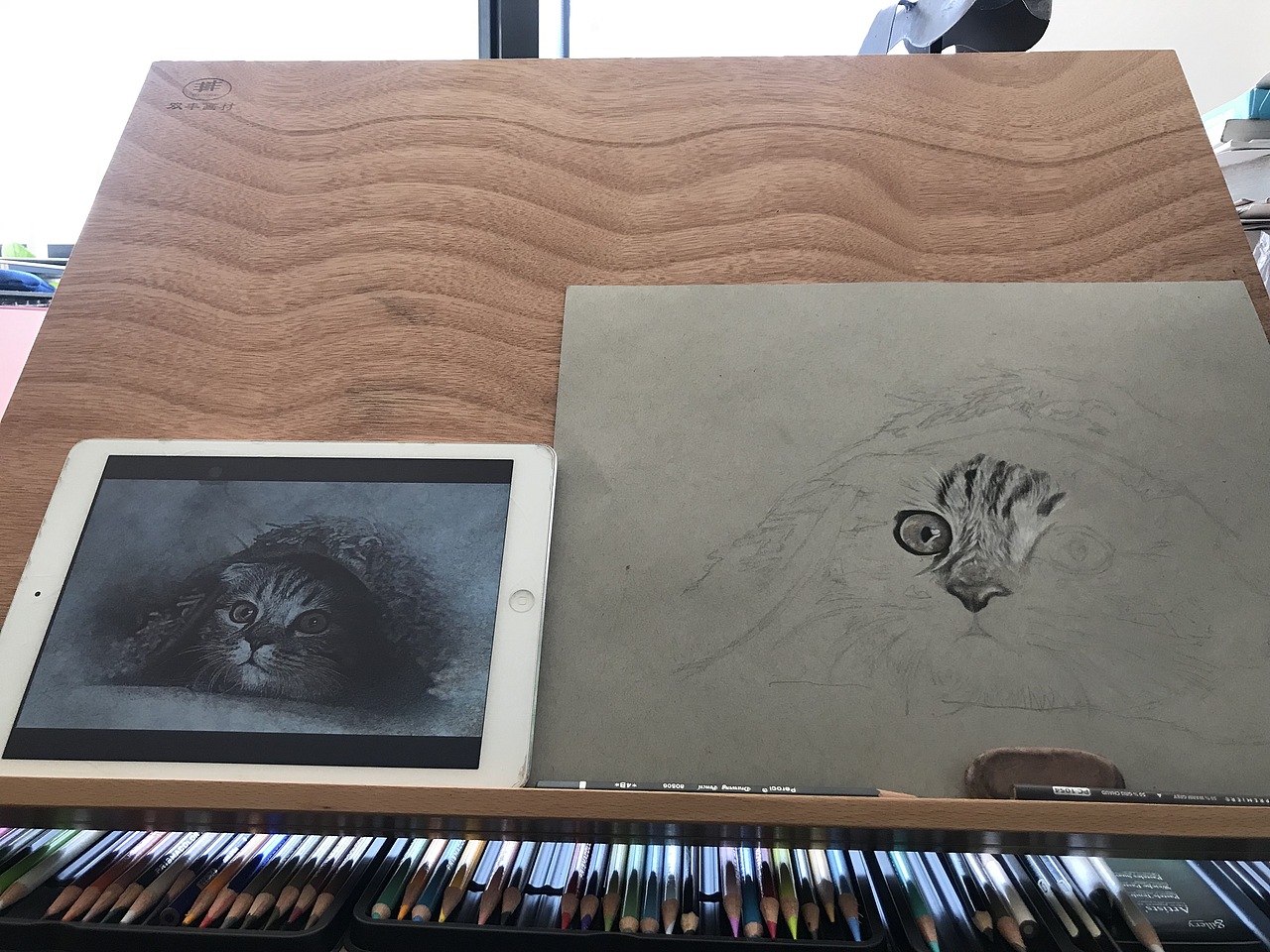 彩铅—画喵咪……