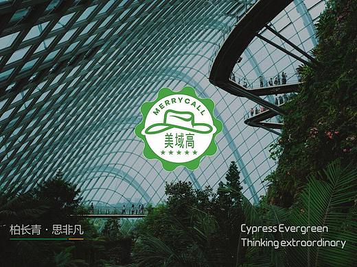 西安品牌设计公司，西安LOGO设计-美域高LOGO设计