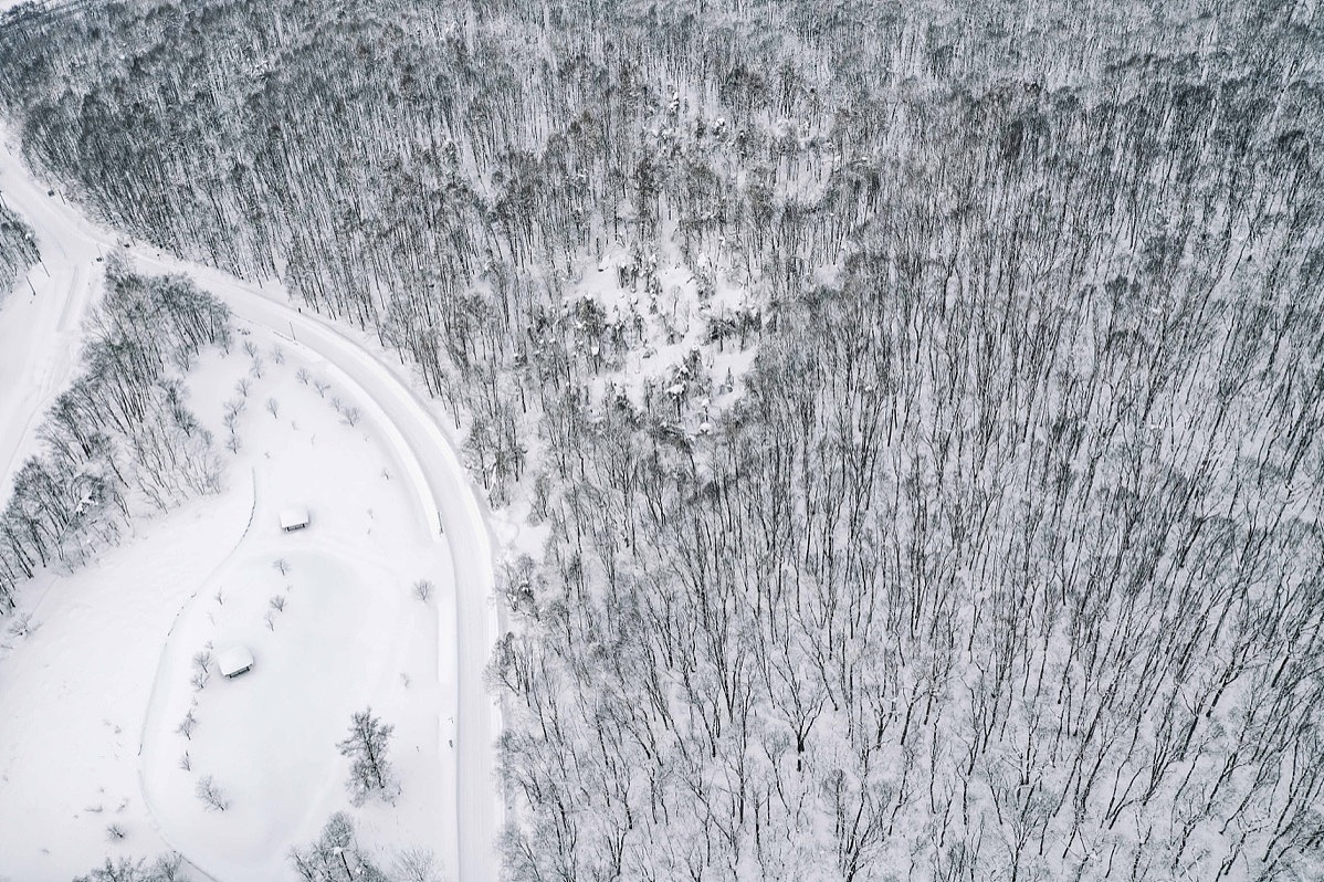 北海道-森林（图ZMTQzOTA5OTUy） - 风光摄影 - 站酷设计师DukeHuang原创素材 - 站酷ZCOOL
