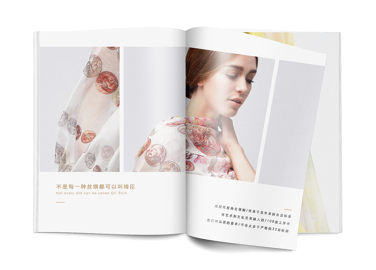 品牌手册效果图