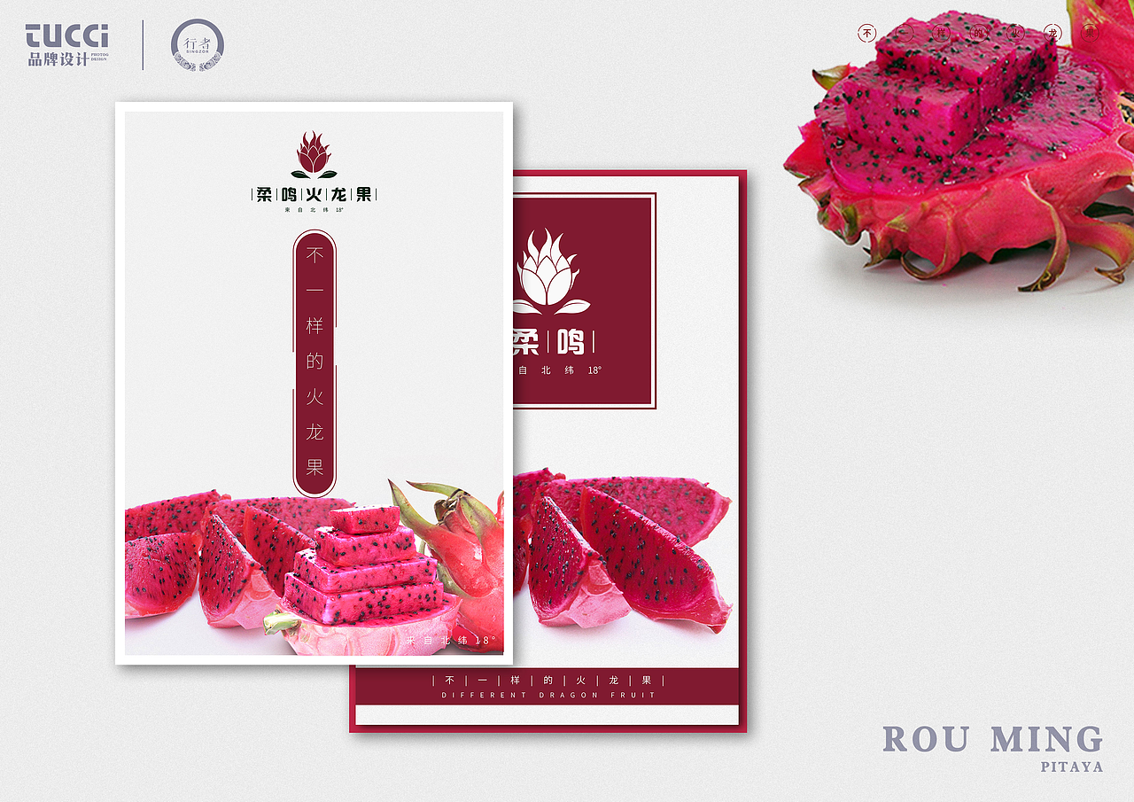 柔鸣火龙果LOGO方案（图ZMTI1NTkxMzQw） - Logo - 站酷设计师黄大海原创素材 - 站酷ZCOOL