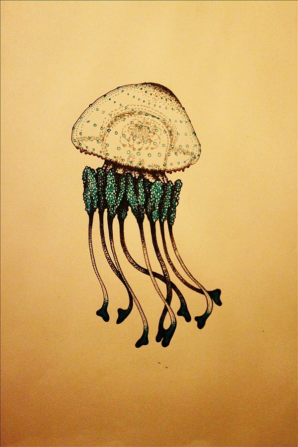 水母|插画|插画习作|薄荷君 - 原创作品 - 站酷 (zcool)