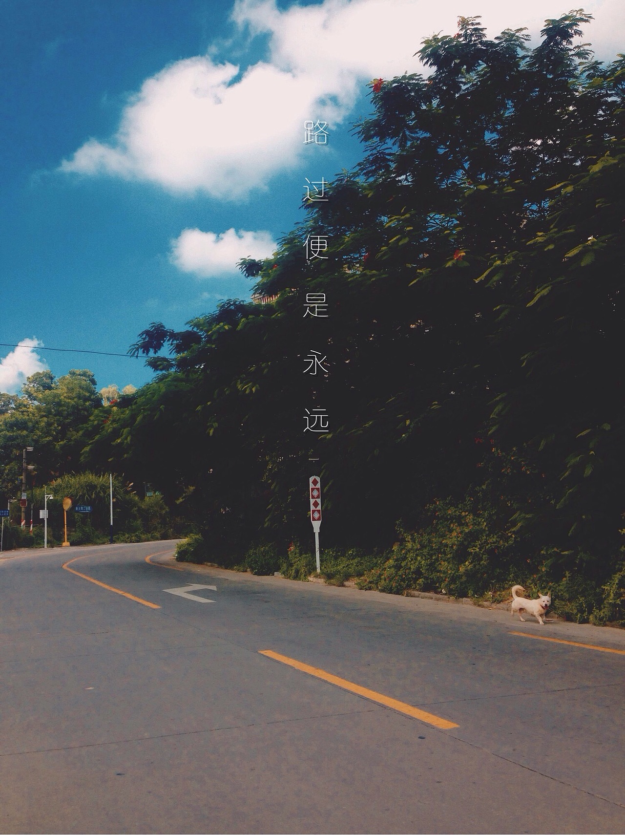 路过便是永远（图ZMzE4MzY0OTY=） - 风光摄影 - 站酷设计师阿肉_原创素材 - 站酷ZCOOL