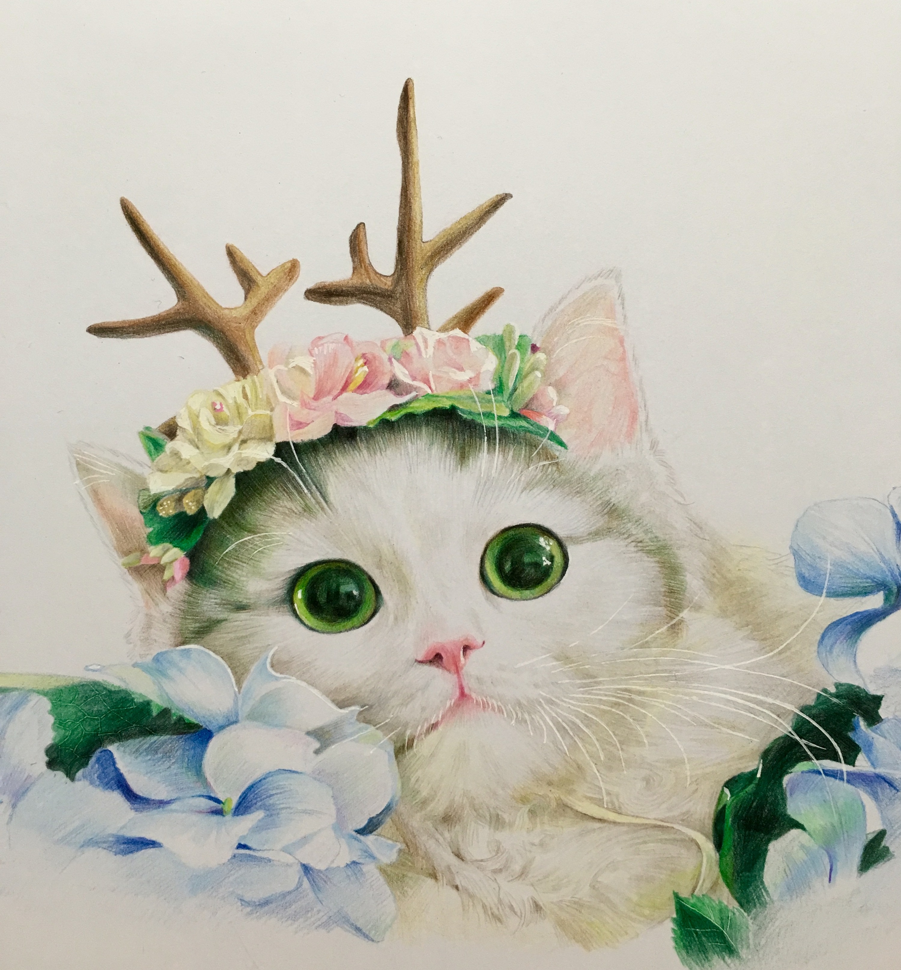 彩铅小猫咪|纯艺术|绘画|ZSZSZSWT - 原创作品 - 站酷 (ZCOOL)